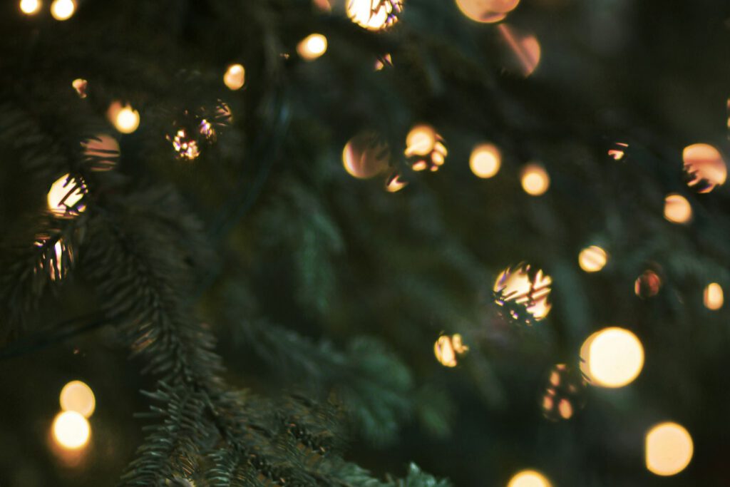 Warm white fairy lights glowing on a Christmas tree