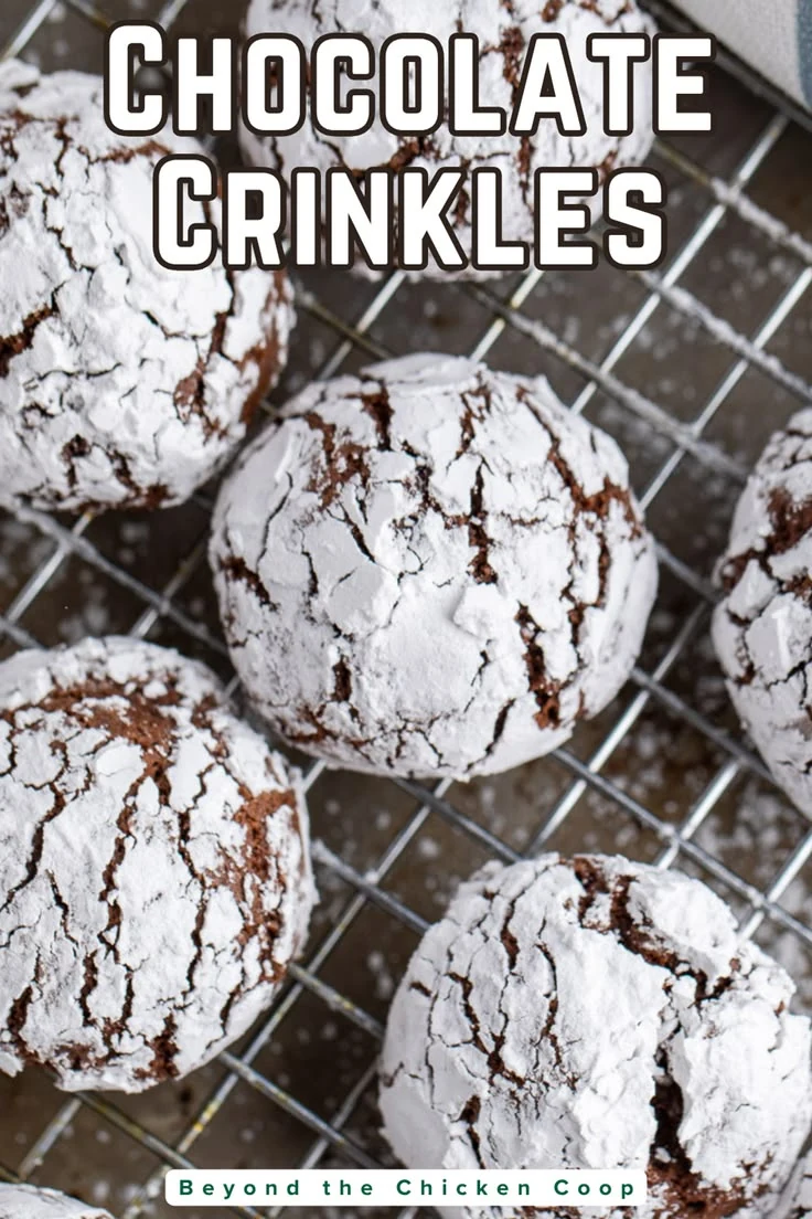 chocolate christmas crinkle cookies